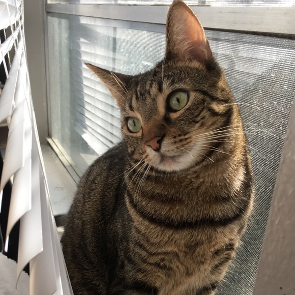 Meet your Posher, Daniela - Picture 1 of 1